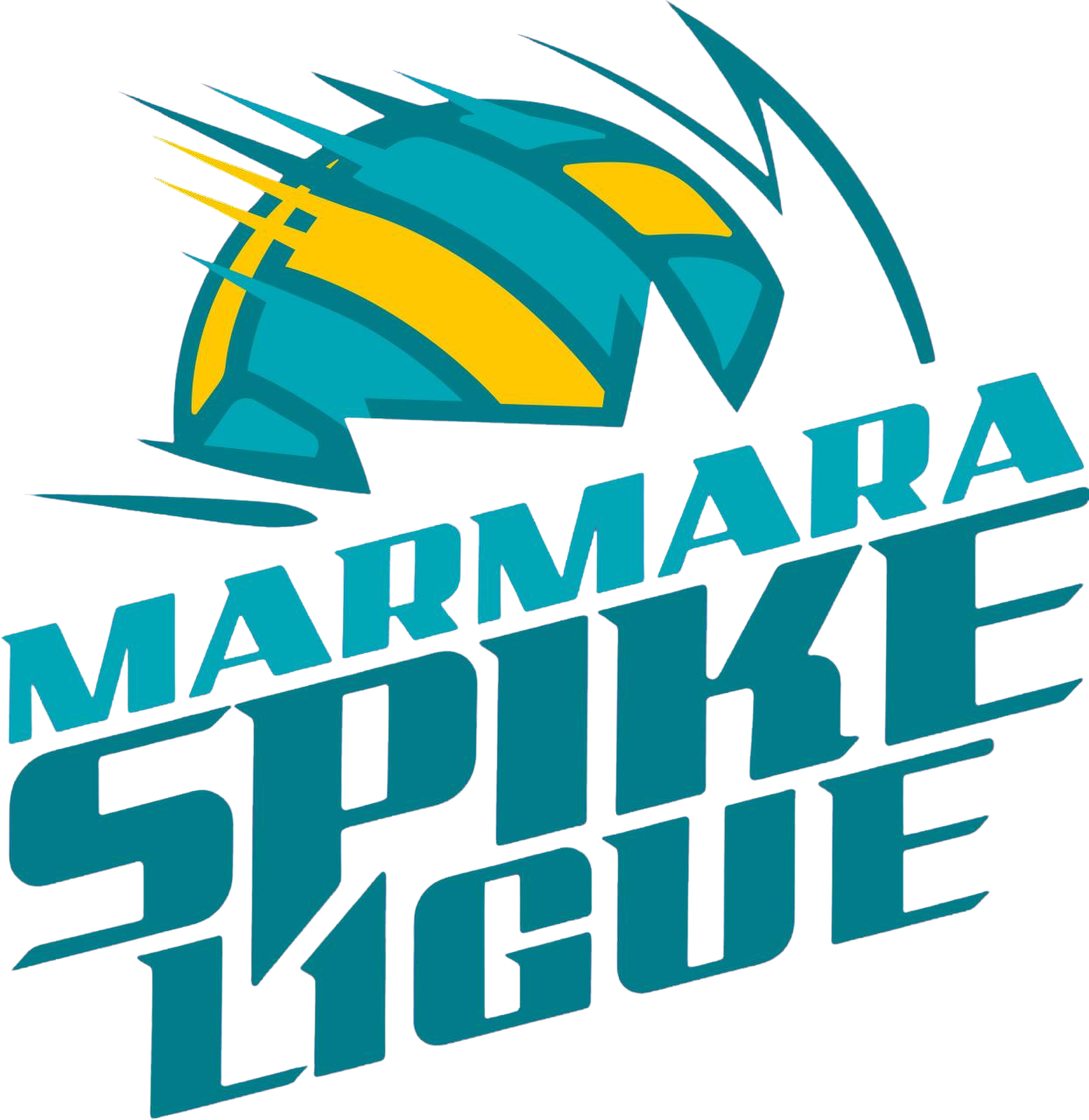 Marmara SpikeLigue